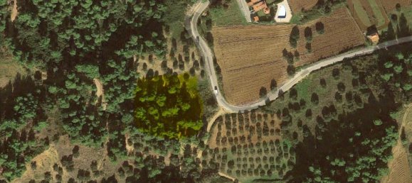 4157m² Hotel in Chalkidiki, Greece No. 4313 3