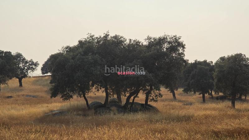 142m² Land in Cordoba, Spain No. 264558