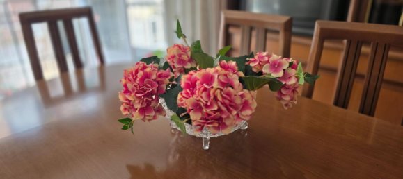 3 Schlafzimmer Haus in Alicante, Spain, Nr. 172751 6