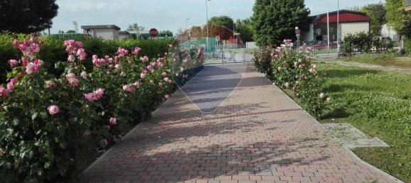 3 bedrooms Villa in Lugo, Italy No. 65613 5