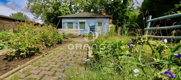Bungalow de 1 dormitorio en Halle, Germany No. 244379 3