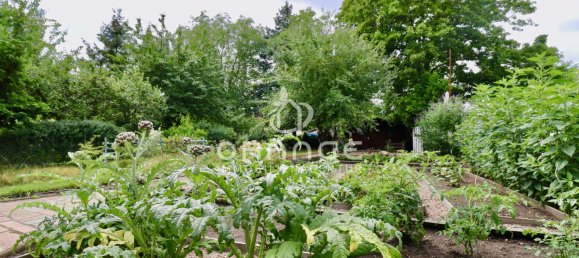 Bungalow de 1 dormitorio en Halle, Germany No. 244379 6