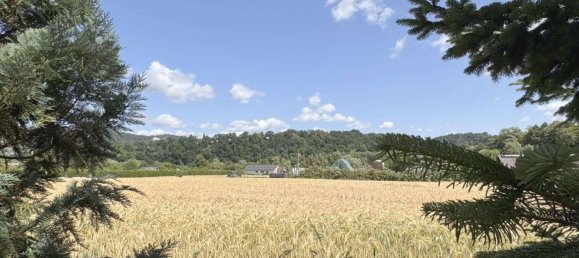 3 bedrooms Townhouse in Hersfeld-Rotenburg, Germany No. 259674 10