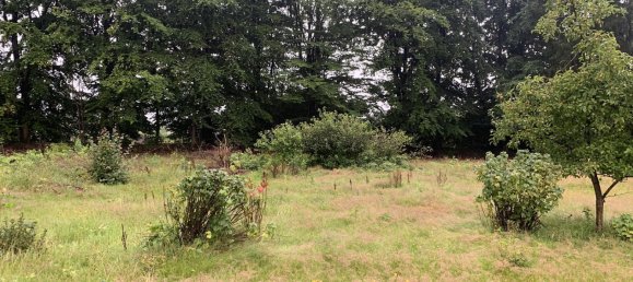 4 bedrooms Townhouse in Segeberg, Germany No. 266634 13