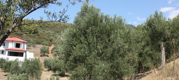 2654m² Hotel in Chalkidiki, Greece No. 8098 4