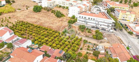 Terreno em Silves, Portugal 5920 m² N.º 127290 4
