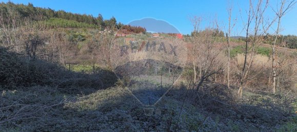 2 Schlafzimmer Haus in Castanheira de Pera, Portugal, Nr. 17584 12