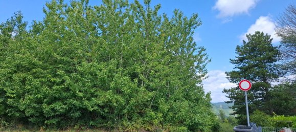 Земельный участок в Бернкастель-Витлих, Германия № 258213 2