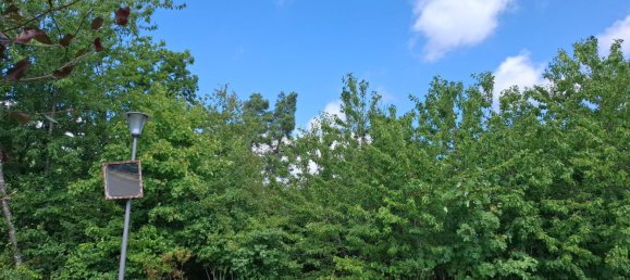 Земельный участок в Бернкастель-Витлих, Германия № 258213 3