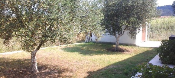 3 غرف نوم عقار تجاري في Chalkidiki, Greece رقم 7736 16