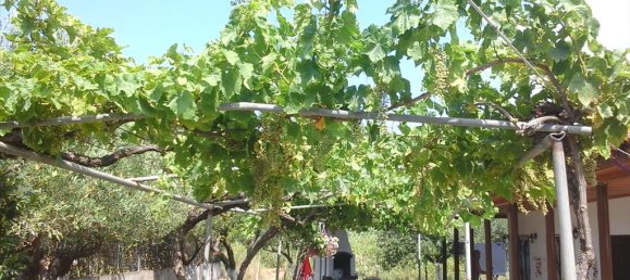 3 غرف نوم عقار تجاري في Chalkidiki, Greece رقم 7736 5