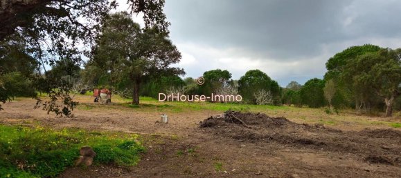  Land in Figari, France No. 57438 3