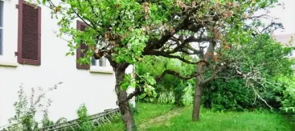  Land in Stuttgart, Germany No. 36499 6