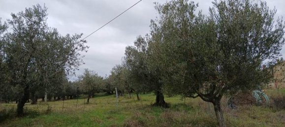 Estudio en Passignano sul Trasimeno, Italy No. 1603 9