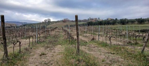 Estudio en Passignano sul Trasimeno, Italy No. 1603 4