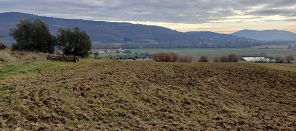 Estudio en Passignano sul Trasimeno, Italy No. 1603 11