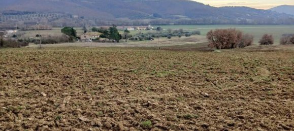 Estudio en Passignano sul Trasimeno, Italy No. 1603 12