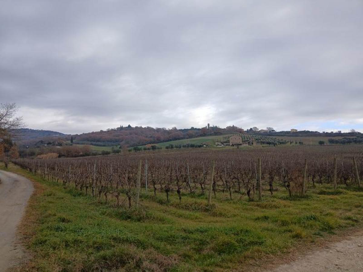 Estudio en Passignano sul Trasimeno, Italy No. 1603