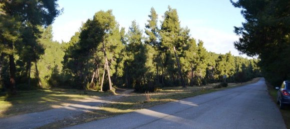 5 bedrooms Commercial property in Chalkidiki, Greece No. 7428 30