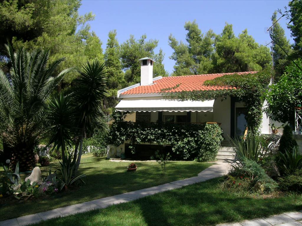 5 dormitorios propiedad comercial en venta en Chalkidiki, Central Macedonia, Macedonia and Thrace, Greece № 7428