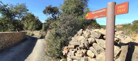 Terreno en Olhao, Portugal 14640 m² No. 35592 10