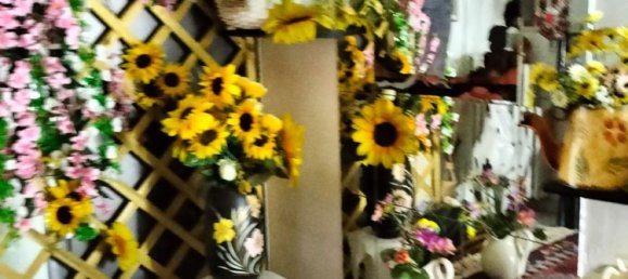 3غرفة شقة في Cassino, Italy رقم 255859 9