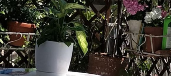 3غرفة شقة في Cassino, Italy رقم 255859 5