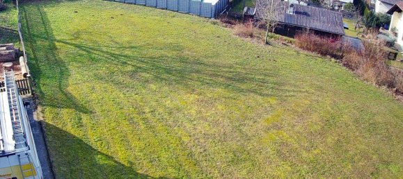 714m² Land in Weisskirchen an der Traun, Austria No. 165918 2