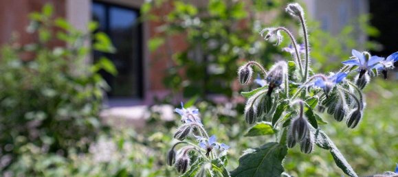 Apartamento de 3 habitaciónes en Gmunden, Austria No. 151716 15