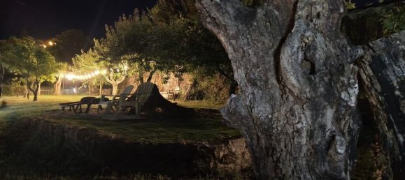 9 bedrooms Villa in Amarante, Portugal No. 106792 29