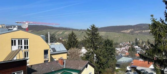 5 غرف نوم منزل في Dobling, Austria رقم 20903 2