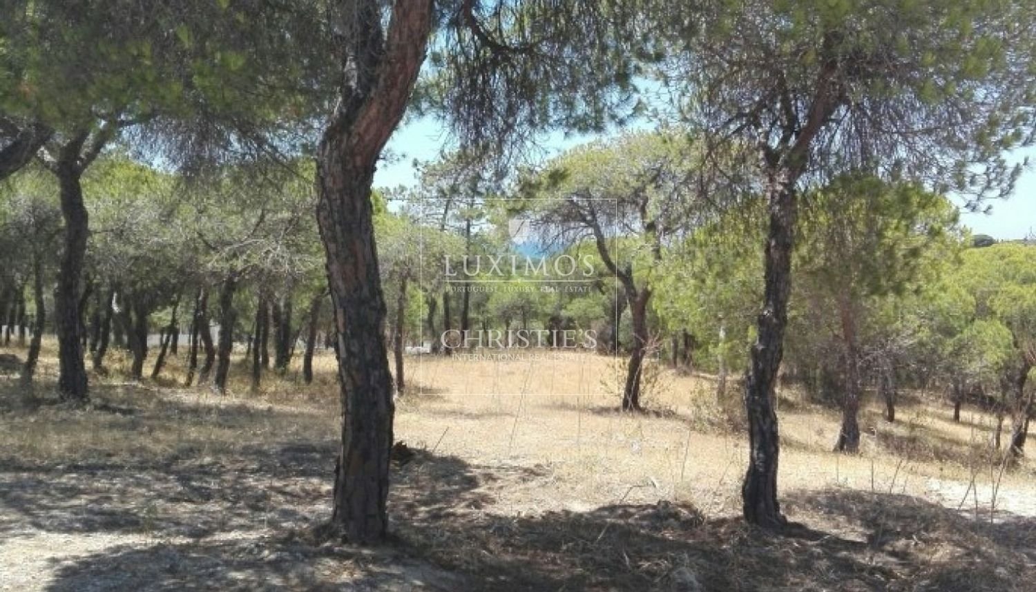 960m² Land in Almancil, Portugal No. 107417