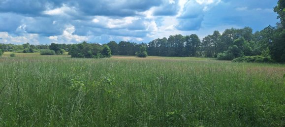 Terreno en Markisch-Oderland, Germany No. 234626 9