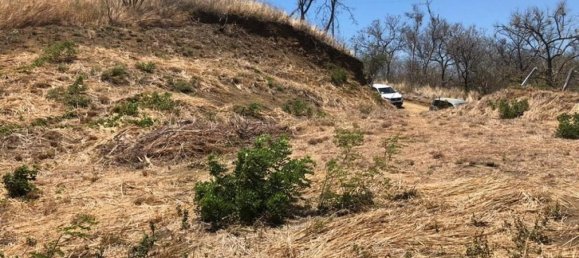 Grundstück in La Cruz, Costa Rica, Nr. 1780 6