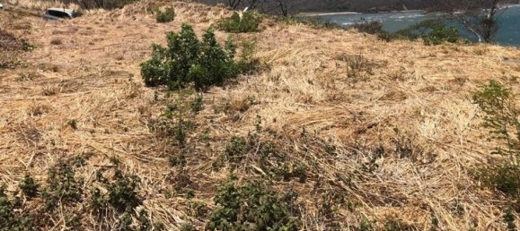 Grundstück in La Cruz, Costa Rica, Nr. 1780 5