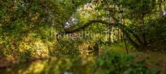 Дом с 6 спальнями в Торриш Новаш, Португалия № 120402 17