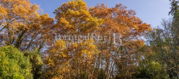 Дом с 6 спальнями в Торриш Новаш, Португалия № 120402 23