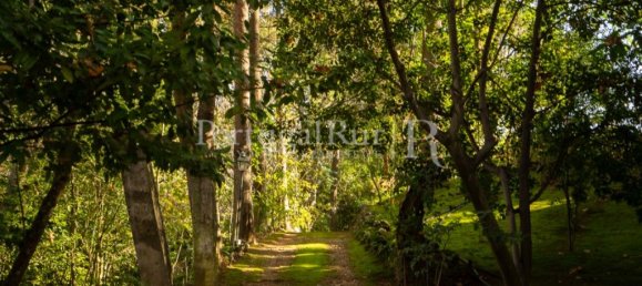 Дом с 6 спальнями в Торриш Новаш, Португалия № 120402 21