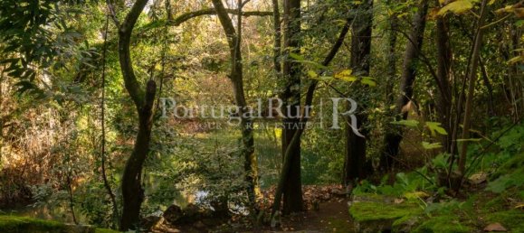 Дом с 6 спальнями в Торриш Новаш, Португалия № 120402 15