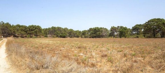 Gewerbliche Immobilie in Rogil, Portugal 261m², Nr. 291413 18