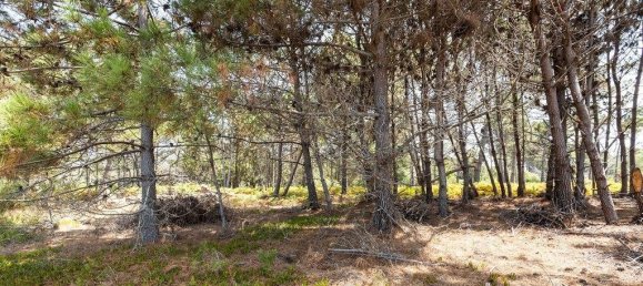 Gewerbliche Immobilie in Rogil, Portugal 261m², Nr. 291413 27