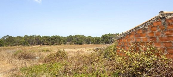 Gewerbliche Immobilie in Rogil, Portugal 261m², Nr. 291413 13