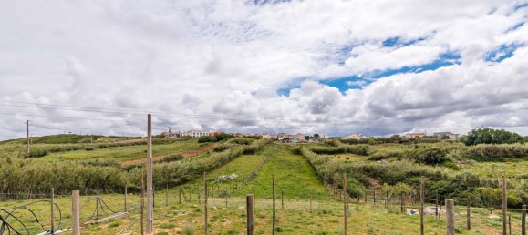 Grundstück in Torres Vedras, Portugal 3640m², Nr. 66927 29