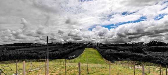 Grundstück in Torres Vedras, Portugal 3640m², Nr. 66927 28