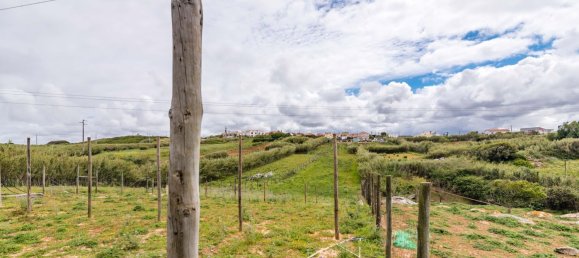 Grundstück in Torres Vedras, Portugal 3640m², Nr. 66927 31