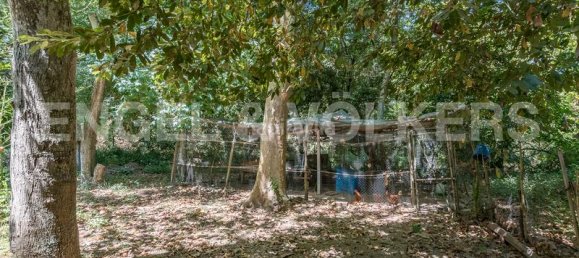 12 غرف نوم منزل في Sant Pol de Mar, Spain رقم 118437 39