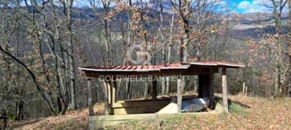 647500m² Land in Piancastagnaio, Italy No. 285145 10