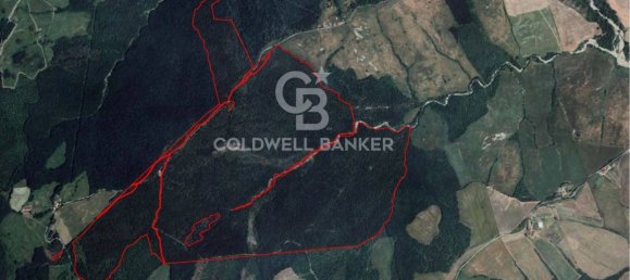 647500m² Land in Piancastagnaio, Italy No. 285145 24