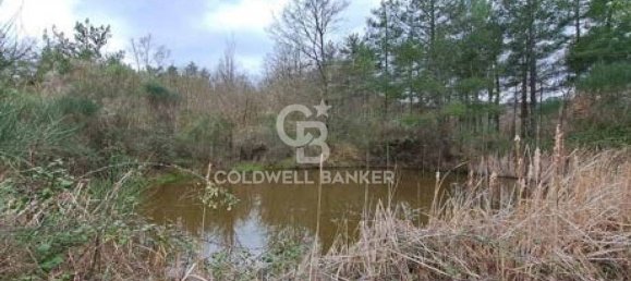 647500m² Land in Piancastagnaio, Italy No. 285145 3