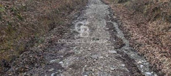 647500m² Land in Piancastagnaio, Italy No. 285145 22